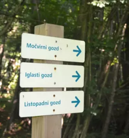 Najem brunarice v naravi stajerska