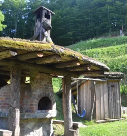 Najem brunarice v naravi stajerska