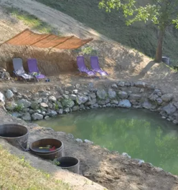 Najem brunarice v naravi stajerska