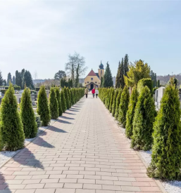 Najem grobnih mest Maribor, Slovenija