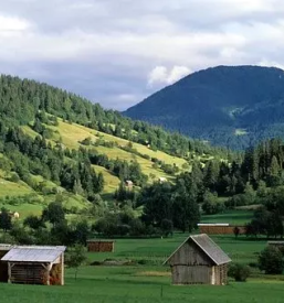 Najem prostega apartmaja bohinj