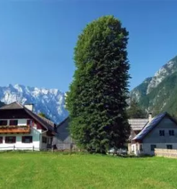 Najem sobe na turisticni kmetiji logarska dolina