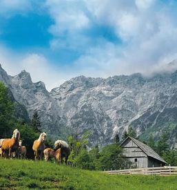 Najem sobe na turisticni kmetiji logarska dolina