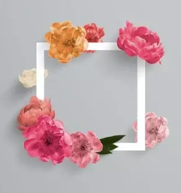 Nakup graficnih materialov osrednja slovenija