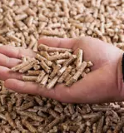 Nakup peletov slovenija