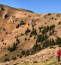 Namestitev v hotelu severna primorska
