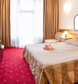 Namestitev v hotelu v cerknem