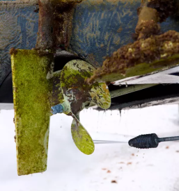 Navtično čiščenje Koper, Obala