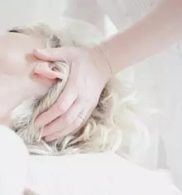 Nega in masaža Ljubljana