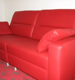 Oblazinjeno pohistvo koroska