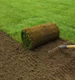 Obrezovanje dreves ljubljana