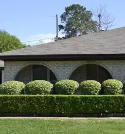 Obrezovanje dreves ljubljana