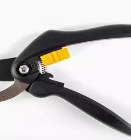 Obrezovanje dreves ljubljana