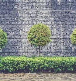 Obrezovanje dreves ljubljana