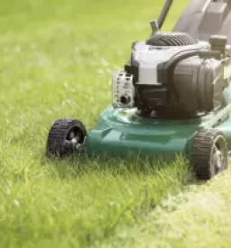 Obrezovanje dreves ljubljana