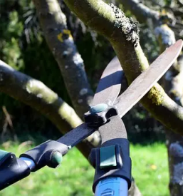 Obrezovanje dreves stajerska