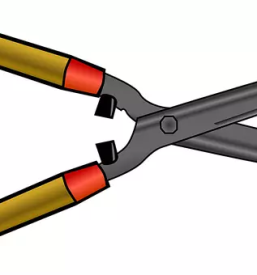 Obrezovanje dreves stajerska