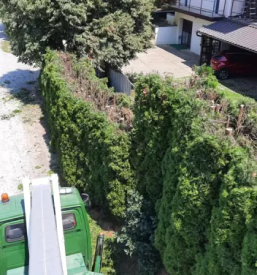 Obrezovanje drevja na visini pomurje