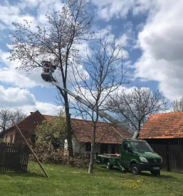 Obrezovanje drevja na visini pomurje