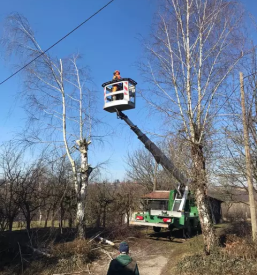 Obrezovanje drevja na visini pomurje