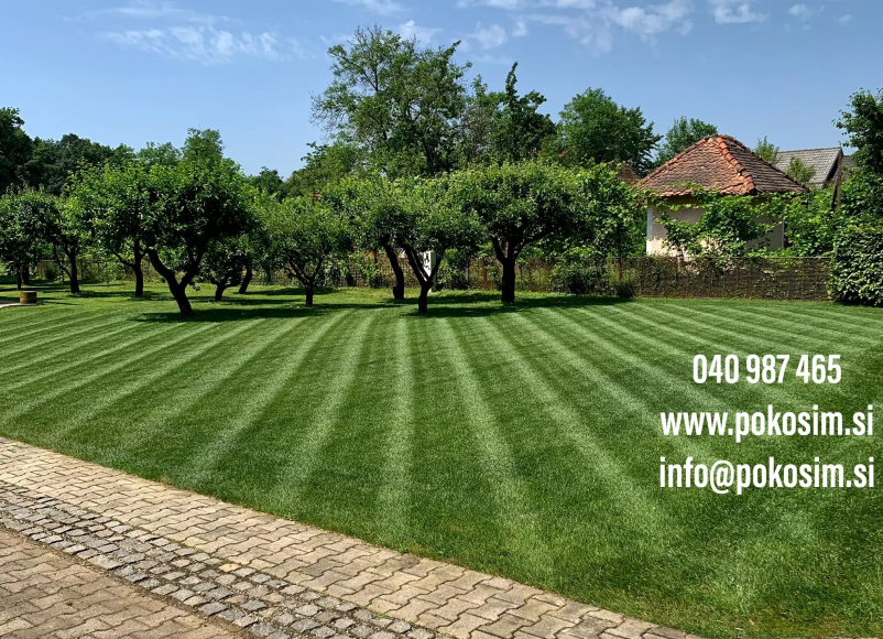 Obrezovanje žive meje Štajerska