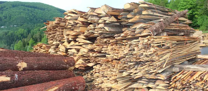 Odkup hrastove hlodovine