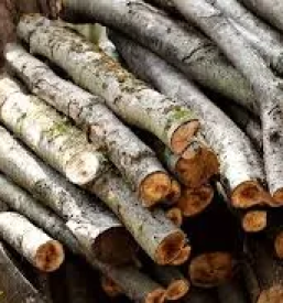 Odkup in prodaja hlodovine