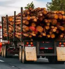 Odkup in prodaja lesa Štajerska, Podravska