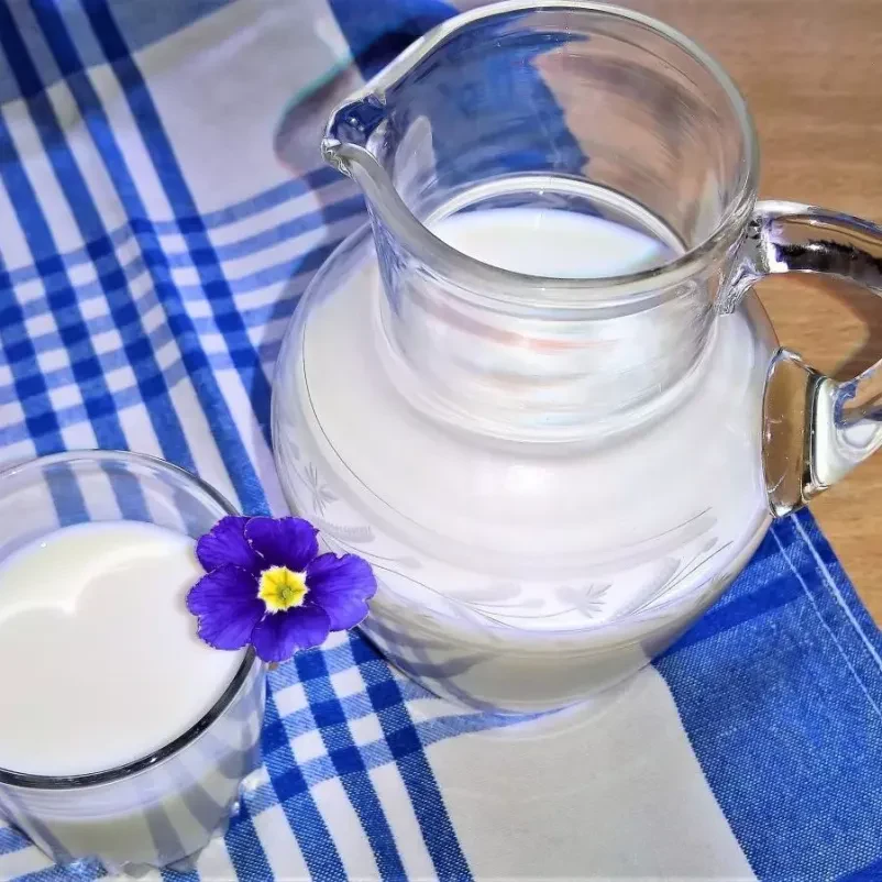 Ugoden odkup mleka Velike Lašče
