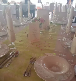 Odlične pizze Branik