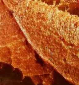 Pekovski izdelki Ljubljana, Šiška