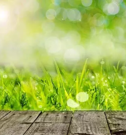 Odvozi materiala goriska