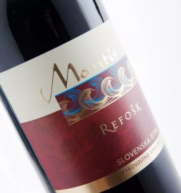 Ogled vinske kleti na primorskem