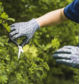 Dekorativni lonci Slovenija
