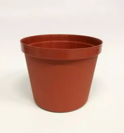 Notranji okrasni lonci