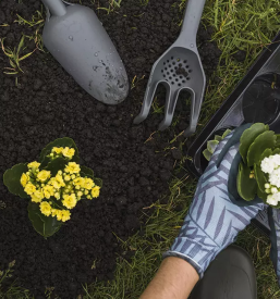 Okrasni lonci za rože notranji