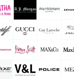 Optika slovenske konjice