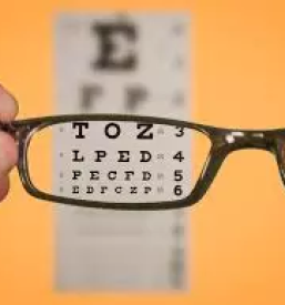 Optika slovenske konjice