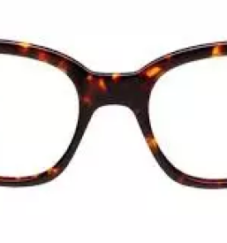 Optika slovenske konjice