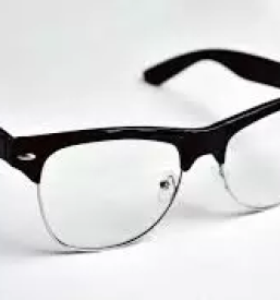 Optika slovenske konjice