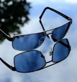 Optika slovenske konjice