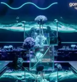 Organizacija dmc slovenija