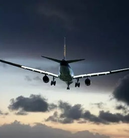 Organizacija letalskih prevozov brnik