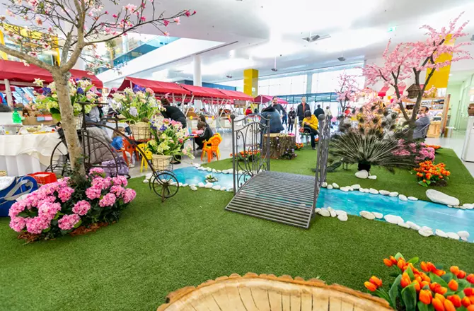 Organizacija dogodkov Maribor Štajerska