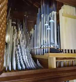 Orglarstvo slovenija