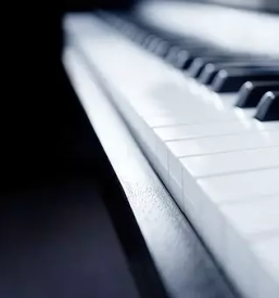 Orgle harmoniji medvode