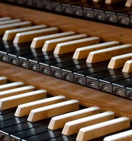 Orgle harmoniji medvode