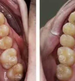 Ortodont kranj