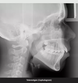 Ortopan ljubljana center