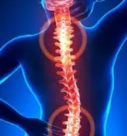 Ortopedska ambulanta ljubljana